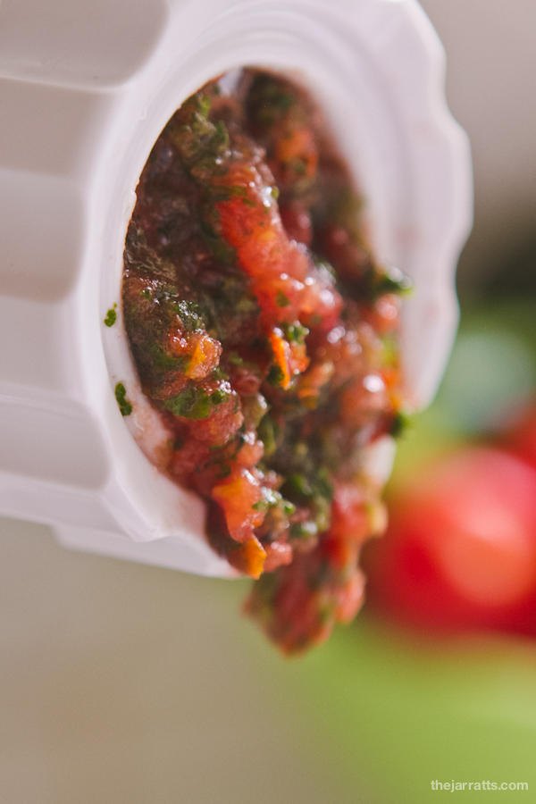 fresh salsa and guacamole recipes